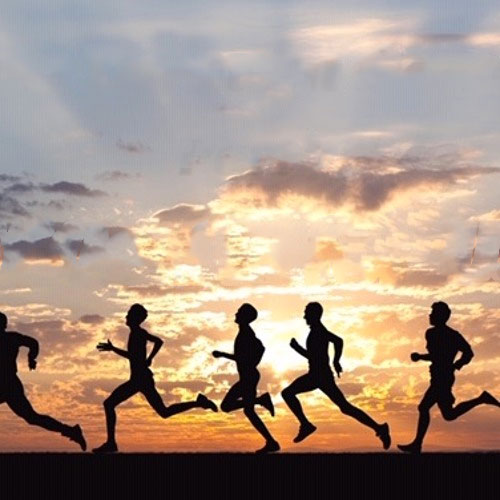 run-through-romans-series