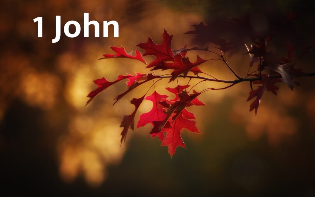 Watch Yourselves – 2 John