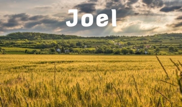 The Lord is a Refuge Joel 3: 16-17