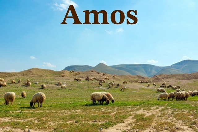 Repair And Rebuild – Amos 9:11-15